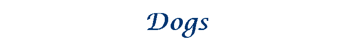 Dogs
