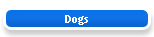 Dogs