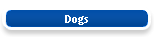 Dogs