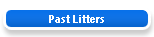 Past Litters