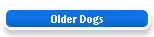 Older Dogs