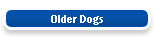 Older Dogs