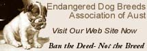 Click on graphic to visit Website.